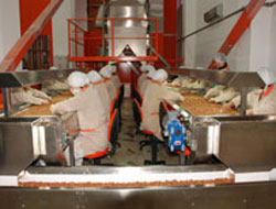 Fındıktan Ordu'ya 315 milyon dolar girdi