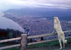Boztepe haraketlenmeye başladı