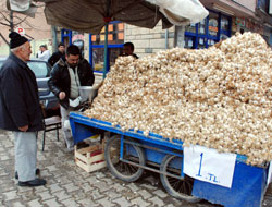 Doğal antibiyotik sarımsak 1 liraya düştü
