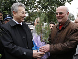 Fındık için ormanlar kesilmiş