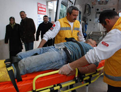 Bahçe temizlerken yılan ısırdı