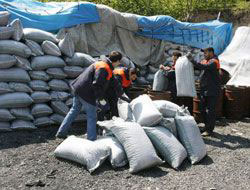 Fındık kabuğundan mangal kömürü ihracatı