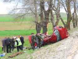 Otomobil önce refüje sonra ağaca çarptı