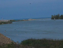 Melet kumu ihale edilecek