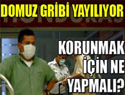 Domuz gribi korku saçıyor!