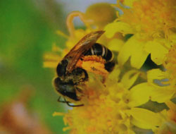 Ömre ömür katıyor