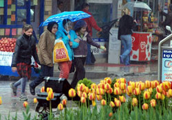 Ordu laboratuar değildir...