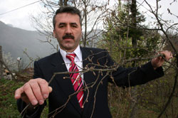 Soğuklar Fındığa Zarar Verdi