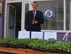 Engellilerin yetiştirdiği sebzeler satışta