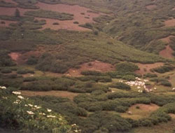 780 hektar mera ıslah edildi