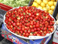 Yerli çilek pazara indi