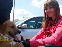 Felç olmaya sebebiyete 2 bin lira ceza