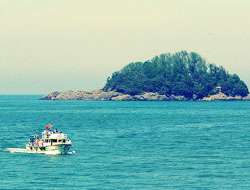 Ada gezilerine şartlı izin