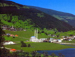 Uzungöl'de yangın  :1 Ölü