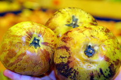 İlaç Gibi Meyve Pepino