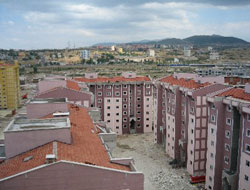 Toki'nin "Poki " nereye?