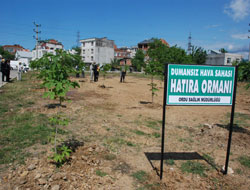 Dumansız hava sahası ormanı kuruldu