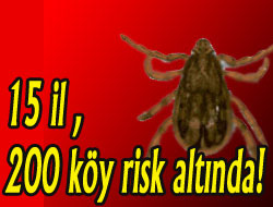 Kene 1 yılda 63 can aldı