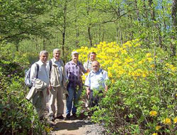 Güce`de yayla, çiçek, çayır, çimen yürüyüşü