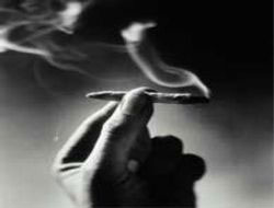 Esrar partisine baskın