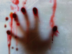 Milletçe 'çıldırıyoruz', acil yardım!