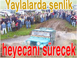 Cipler Haziran'da yaylalarda