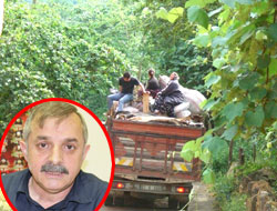 "Karadeniz'de doğar, Karadeniz'de doymaz"