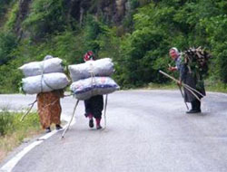 Karadeniz'de 50 bini aşkın boşanma