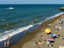 Ordu'nun denizi temiz çıktı