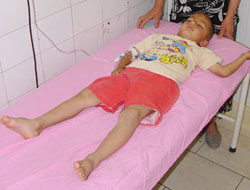 Üstüne bastığı yılan bacağını ısırdı