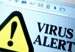 Virüslerin sayısı 1 milyon oldu