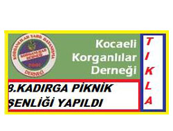 Kocaelindeki Korganlılar piknikte buluştu