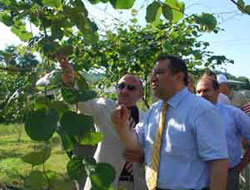 "Fındığa alternatif yerine ürün çeşitlemesi yapın"
