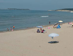 Havuz suyu hasta ediyor