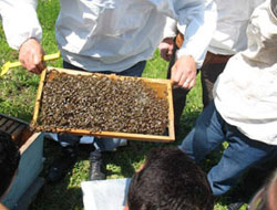 Kaymakamlık vatandaşa kovan dağıttı