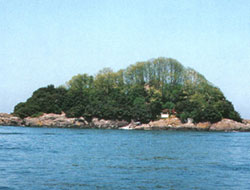 Ada yasağı kalktı