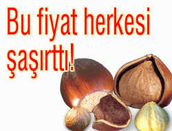 Fındığa 4 dolar fiyat!