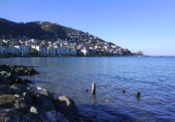 Ordu'dan kısa kısa