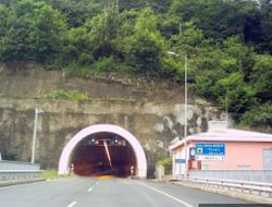 Nefise Akçelik'de ingilizce yayın