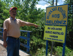 Ordu'da ikinci kuduz paniği!