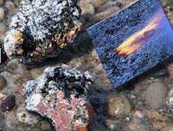 Yanan taşların sırrı çözülemedi