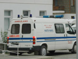 Mantar iki kişiyi zehirledi