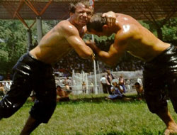 Festival yerine güreş