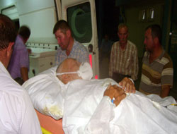 İki kırım kongo vakası daha