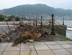 Sel suları deniz kıyısını odunla doldurdu