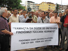 Açıkhava fındık toplantısı ilgi görmedi