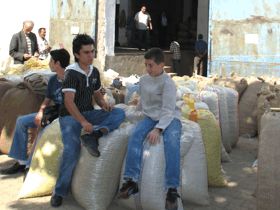 TMO alıma devam etmeli