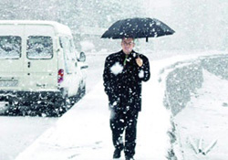 Şubat'ta donacağız...