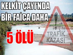 Otomobil dereye  uçtu:5 ölü