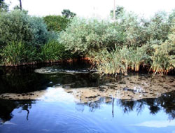 Melet ırmağı'nı kirletenlere ceza